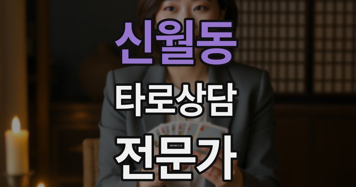 신월동 타로상담전문가 자격증
