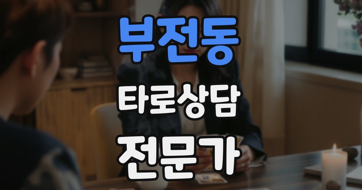 부전동 타로상담전문가 자격증