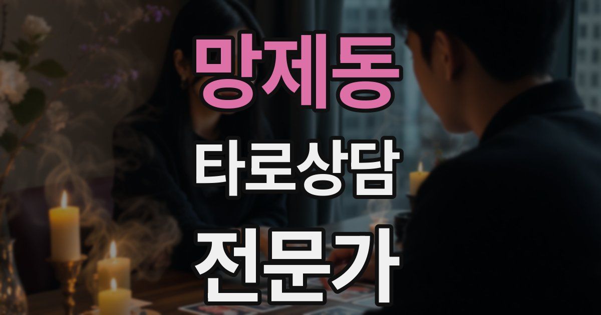 망제동 타로상담전문가 자격증