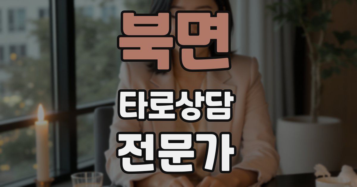 북면 타로상담전문가 자격증