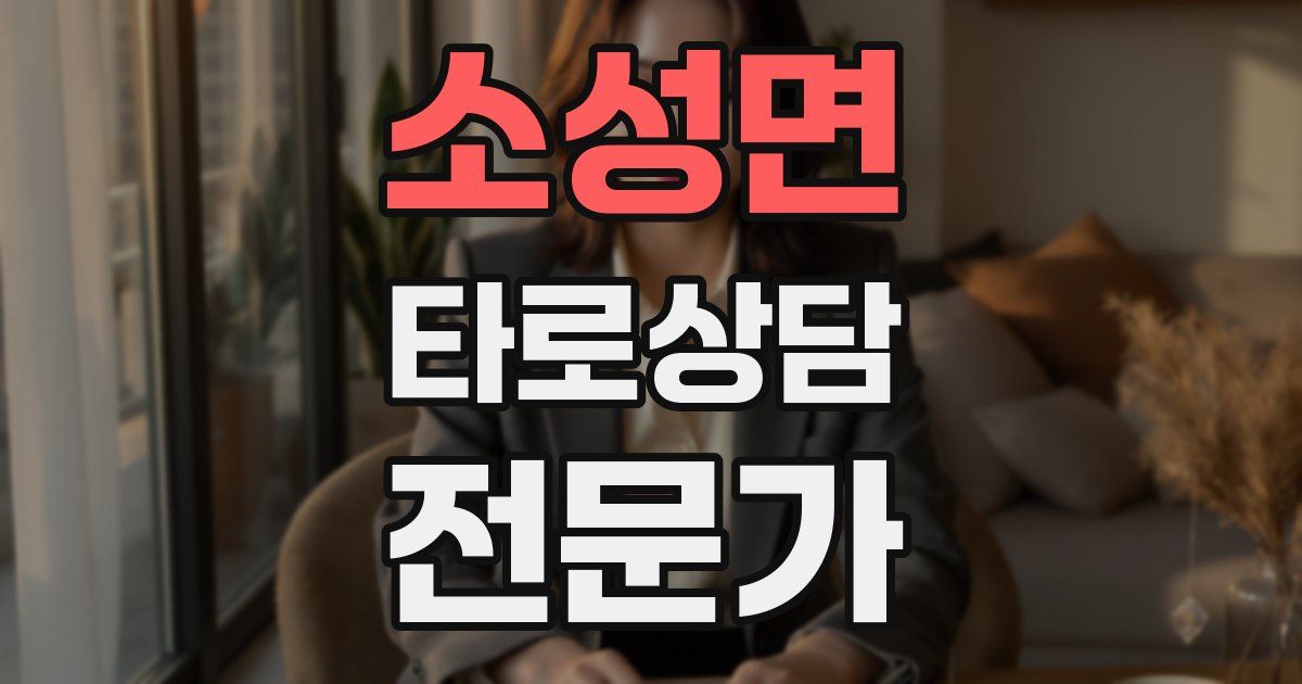소성면 타로상담전문가 자격증