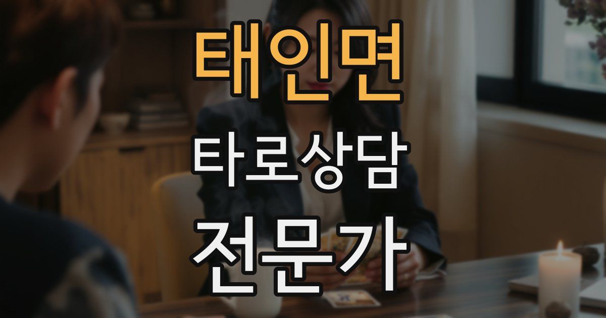 태인면 타로상담전문가 자격증