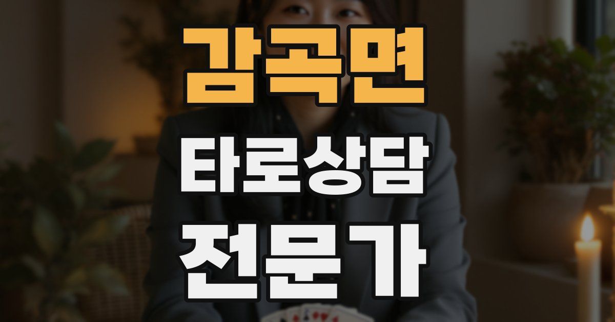 감곡면 타로상담전문가 자격증