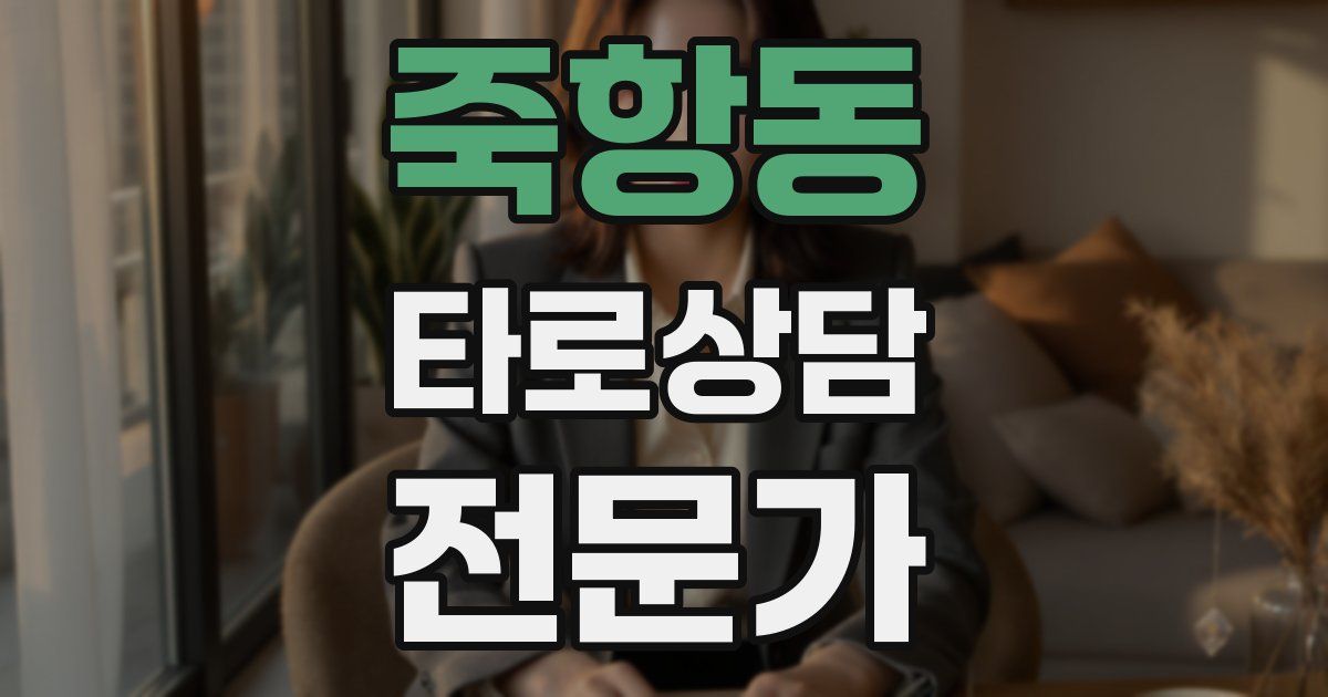 죽항동 타로상담전문가 자격증