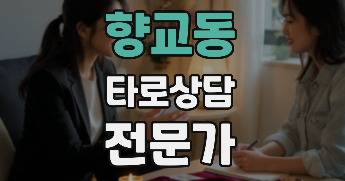 향교동 타로상담전문가 자격증