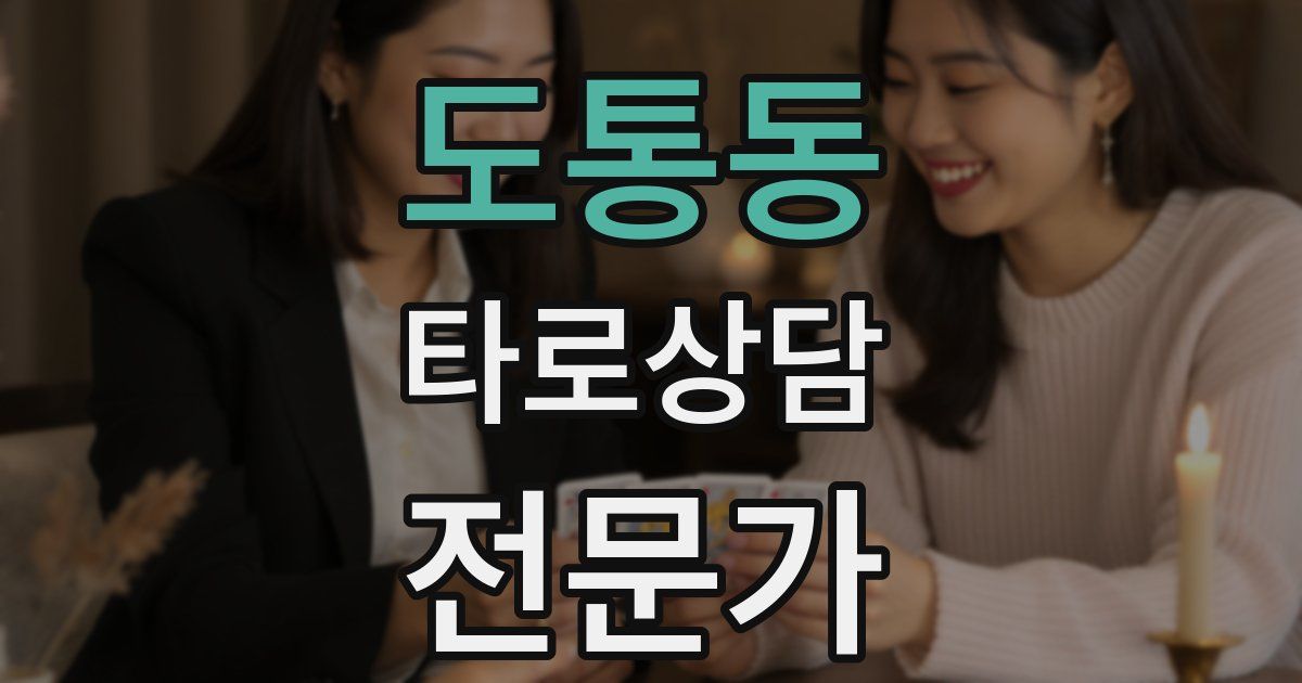 도통동 타로상담전문가 자격증