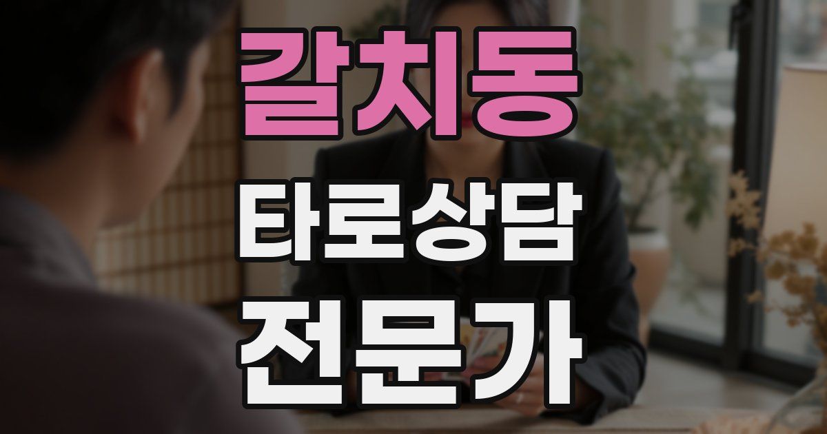 갈치동 타로상담전문가 자격증