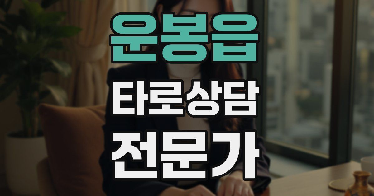 운봉읍 타로상담전문가 자격증