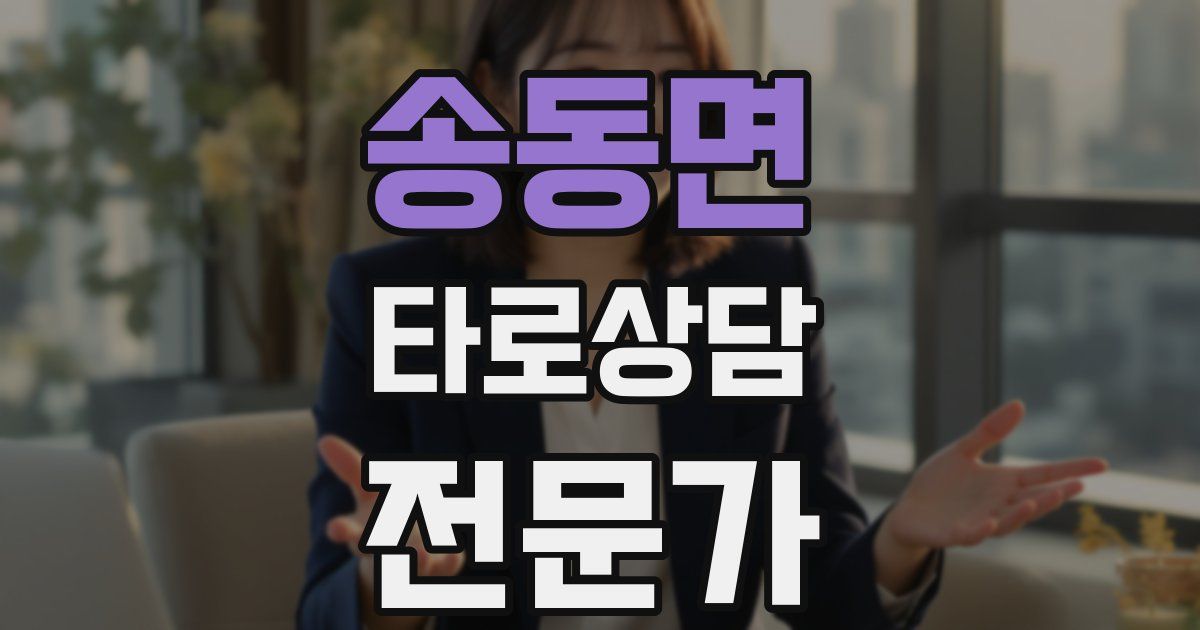 송동면 타로상담전문가 자격증