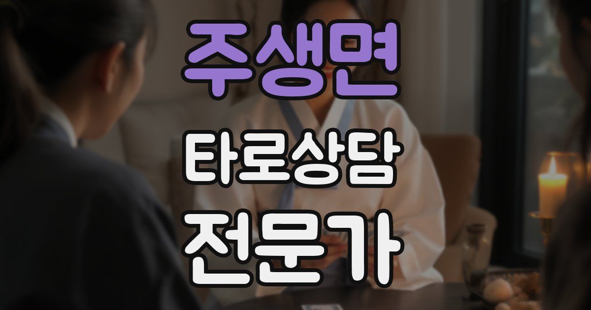 주생면 타로상담전문가 자격증