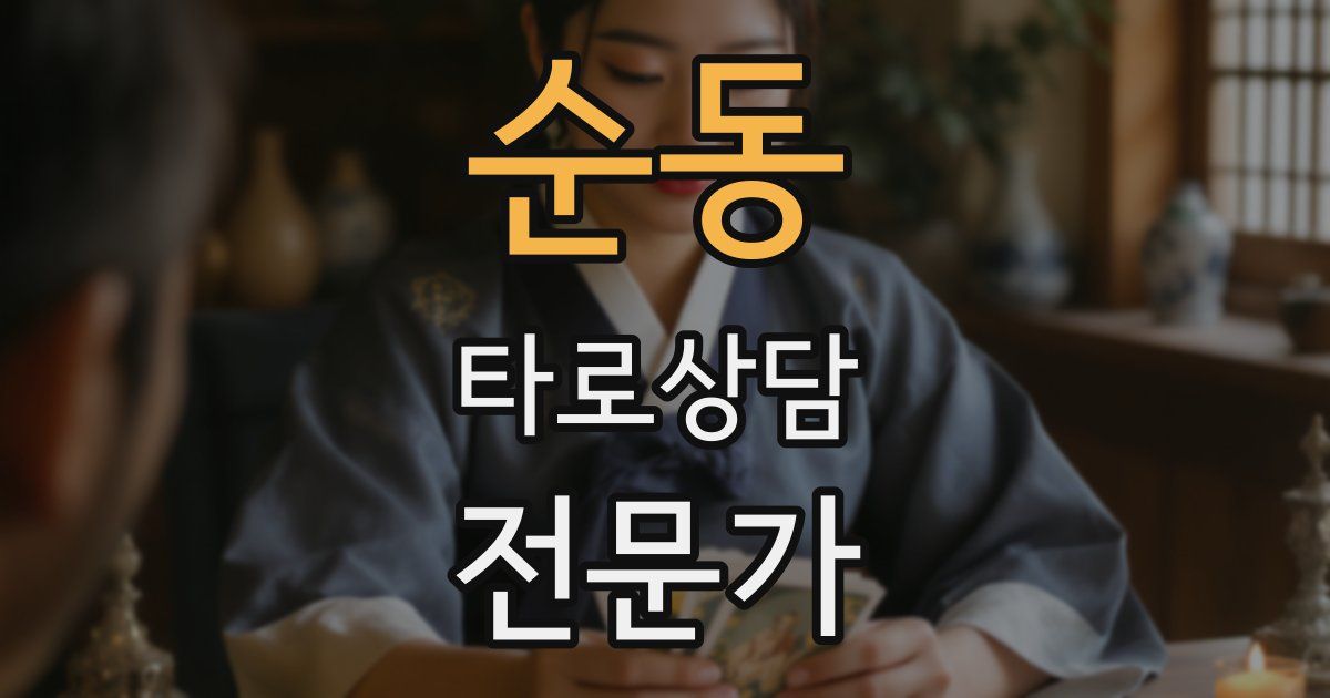 순동 타로상담전문가 자격증