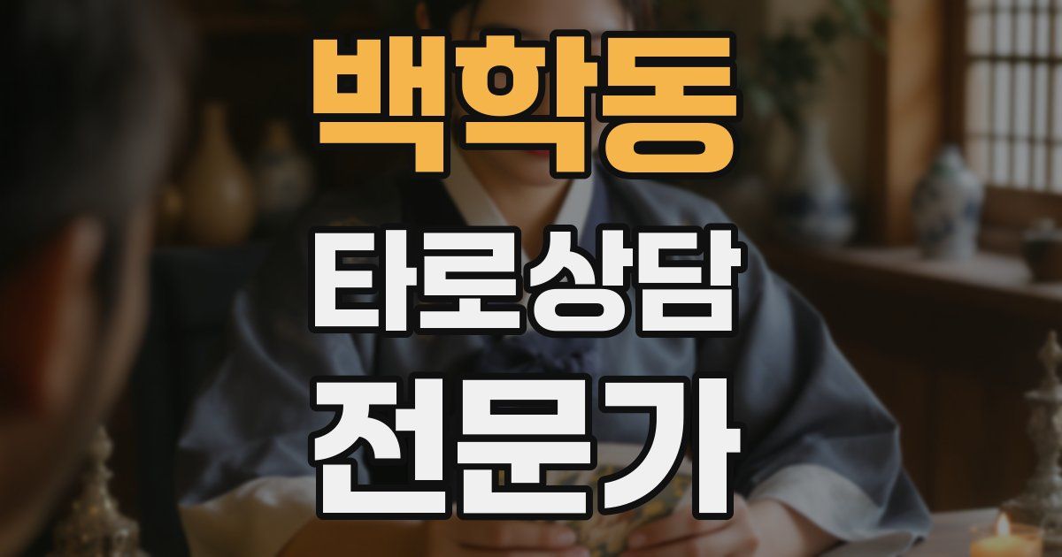 백학동 타로상담전문가 자격증