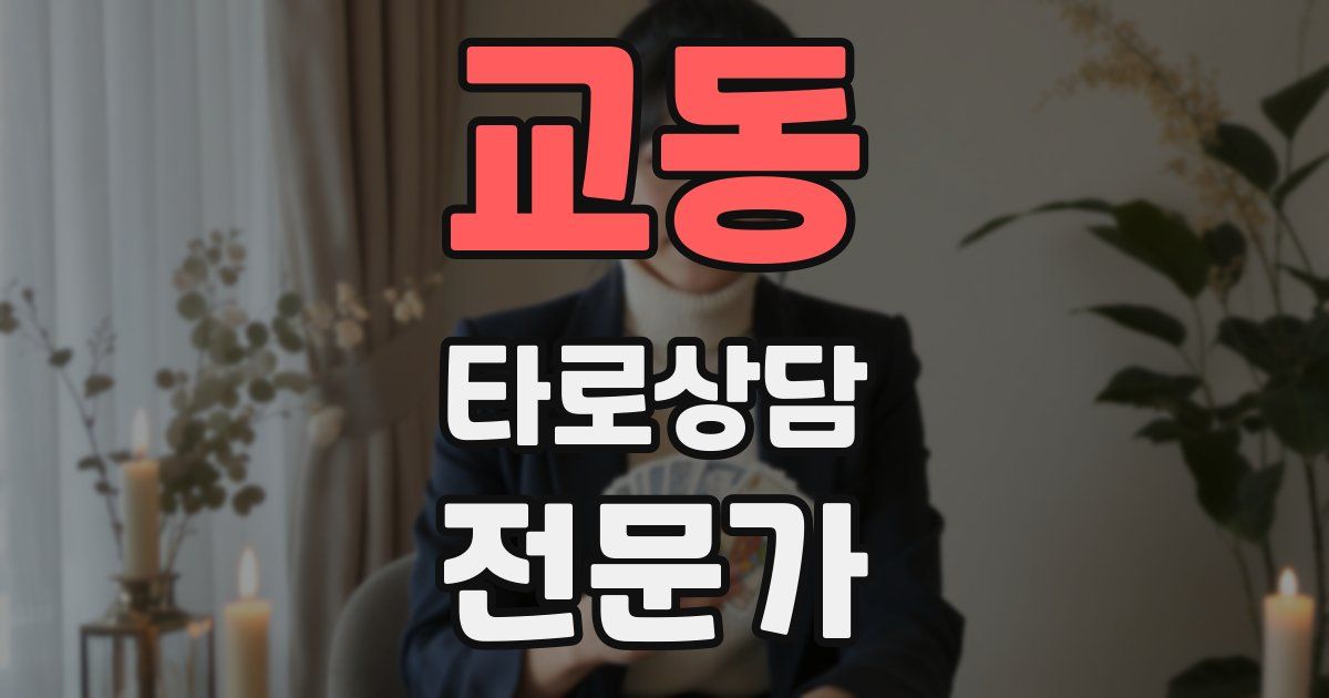 교동 타로상담전문가 자격증