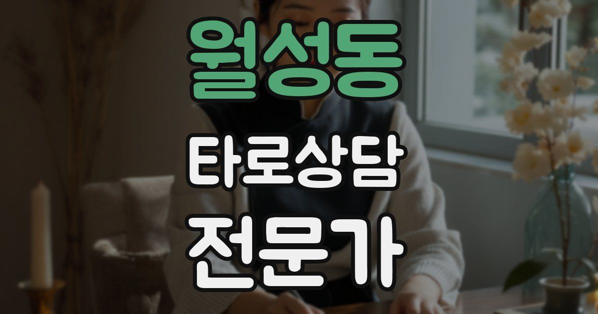 월성동 타로상담전문가 자격증