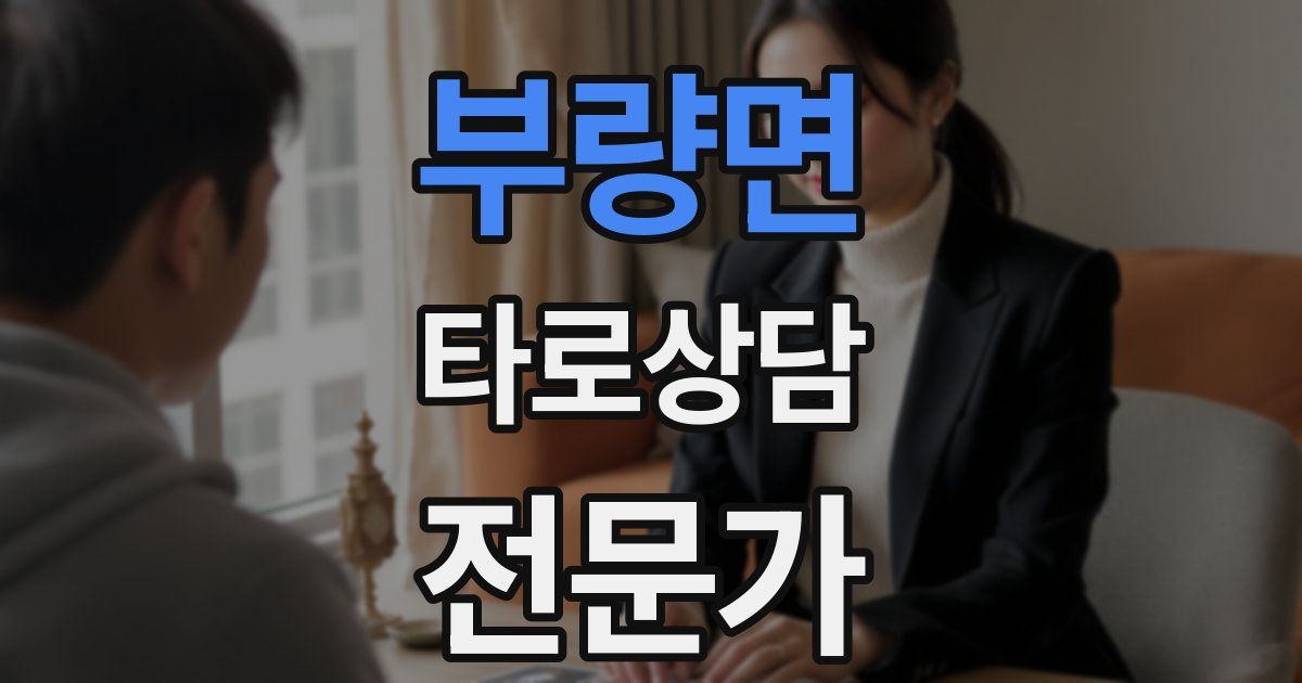부량면 타로상담전문가 자격증