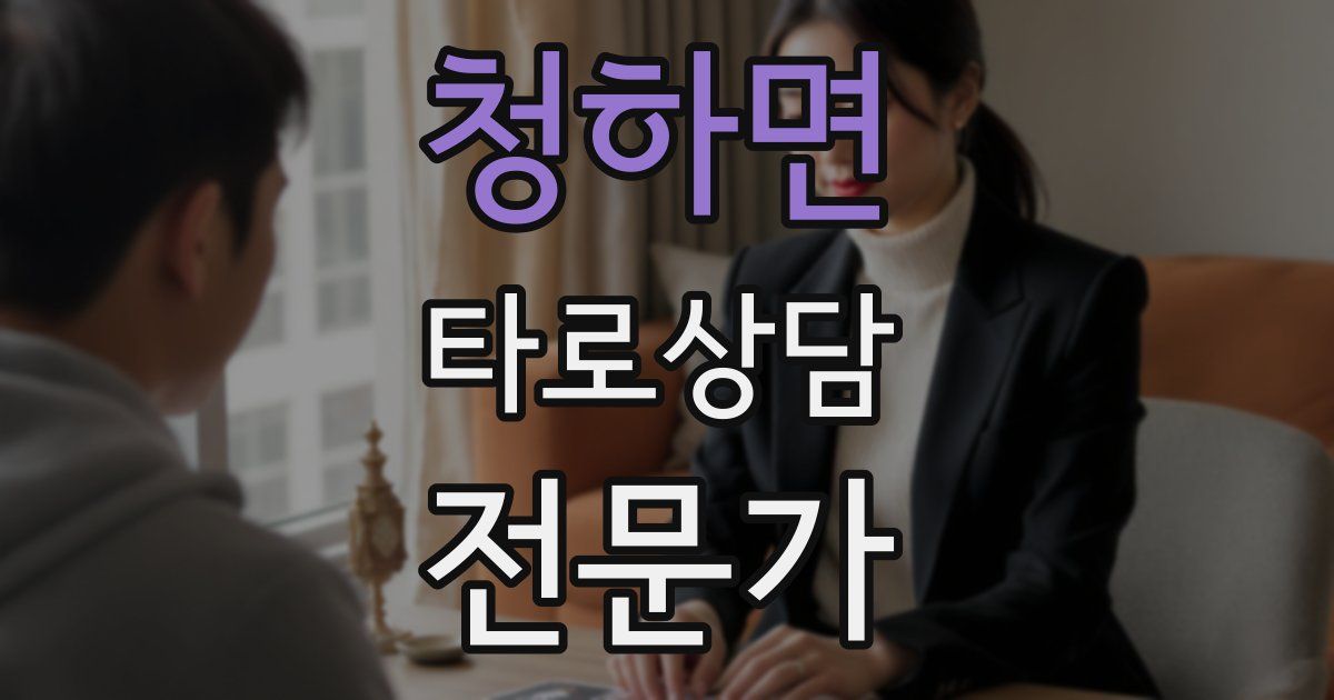 청하면 타로상담전문가 자격증