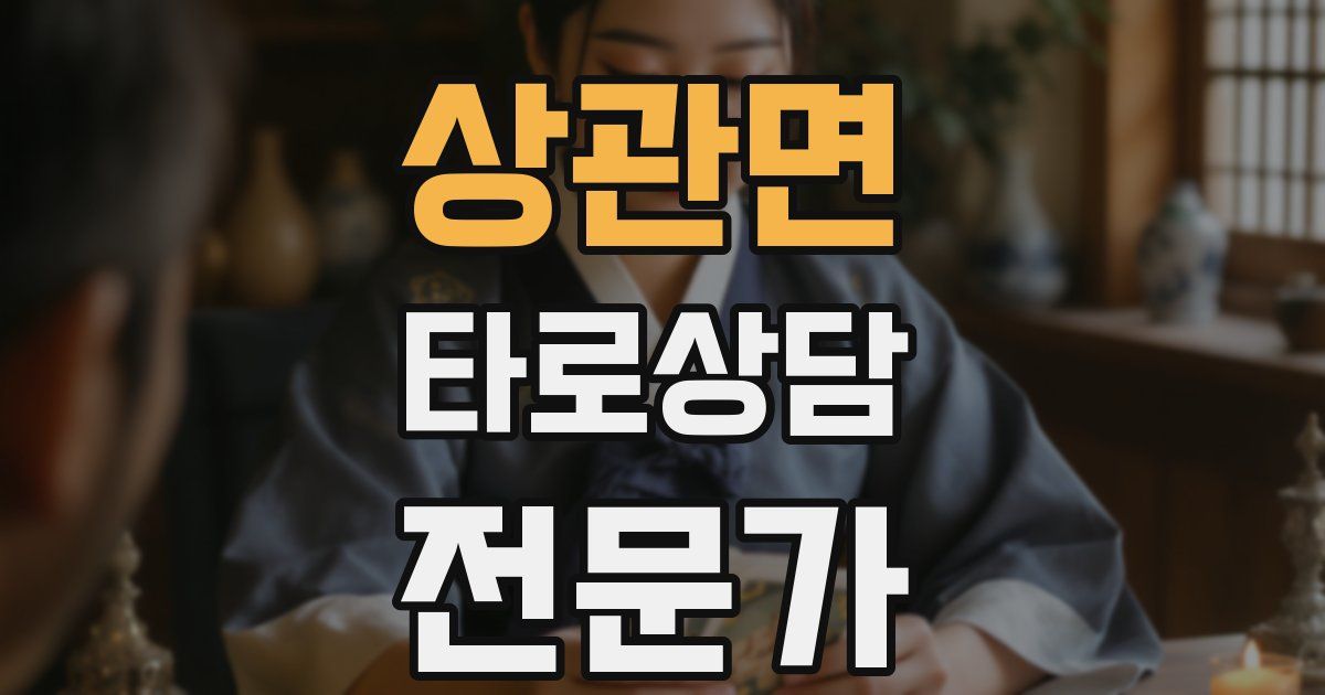 상관면 타로상담전문가 자격증