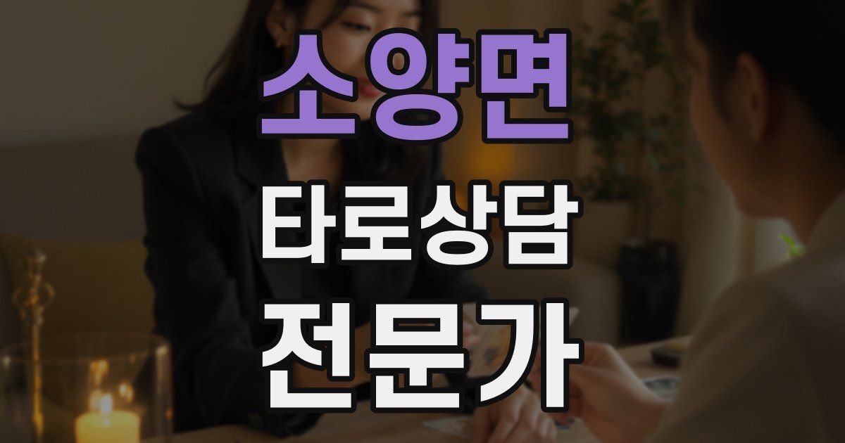 소양면 타로상담전문가 자격증