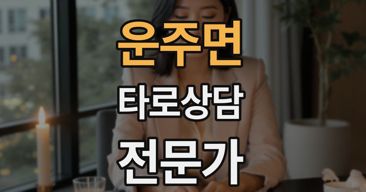 운주면 타로상담전문가 자격증