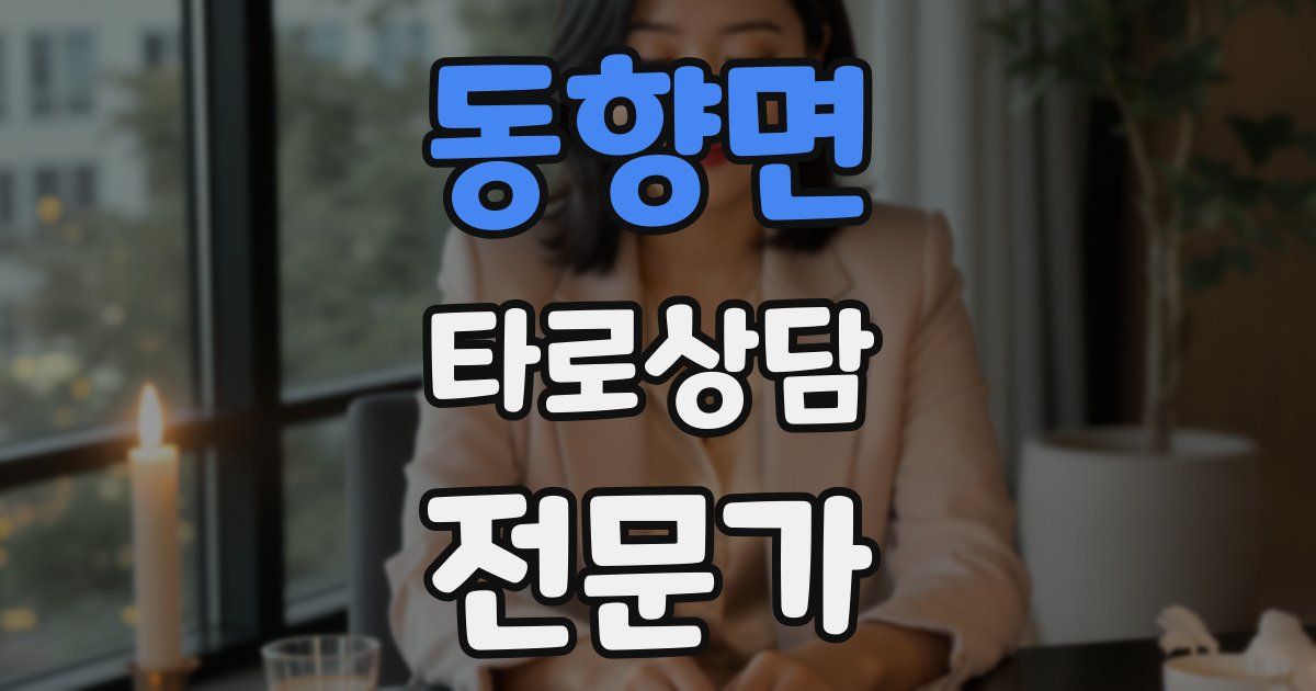 동향면 타로상담전문가 자격증