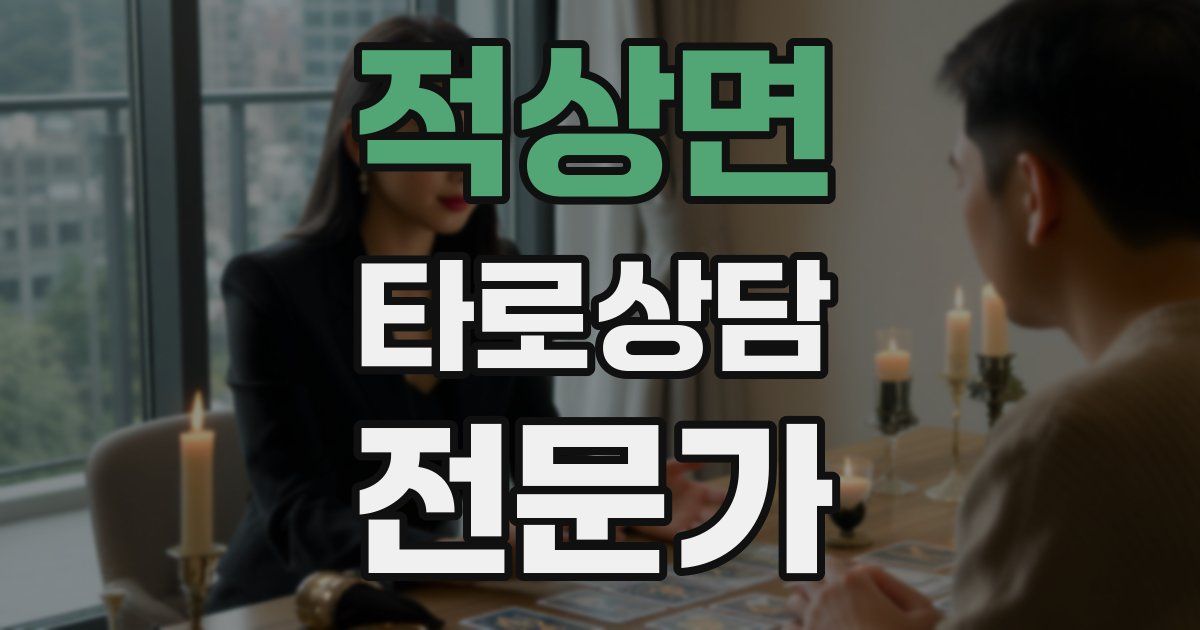 적상면 타로상담전문가 자격증