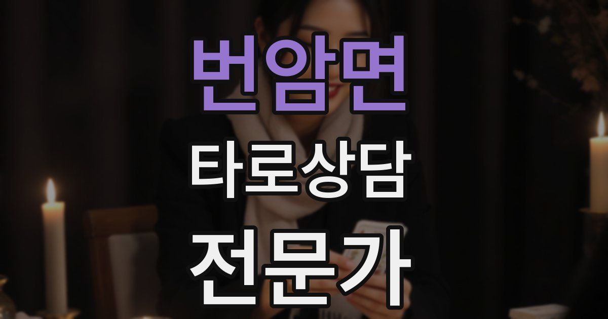 번암면 타로상담전문가 자격증