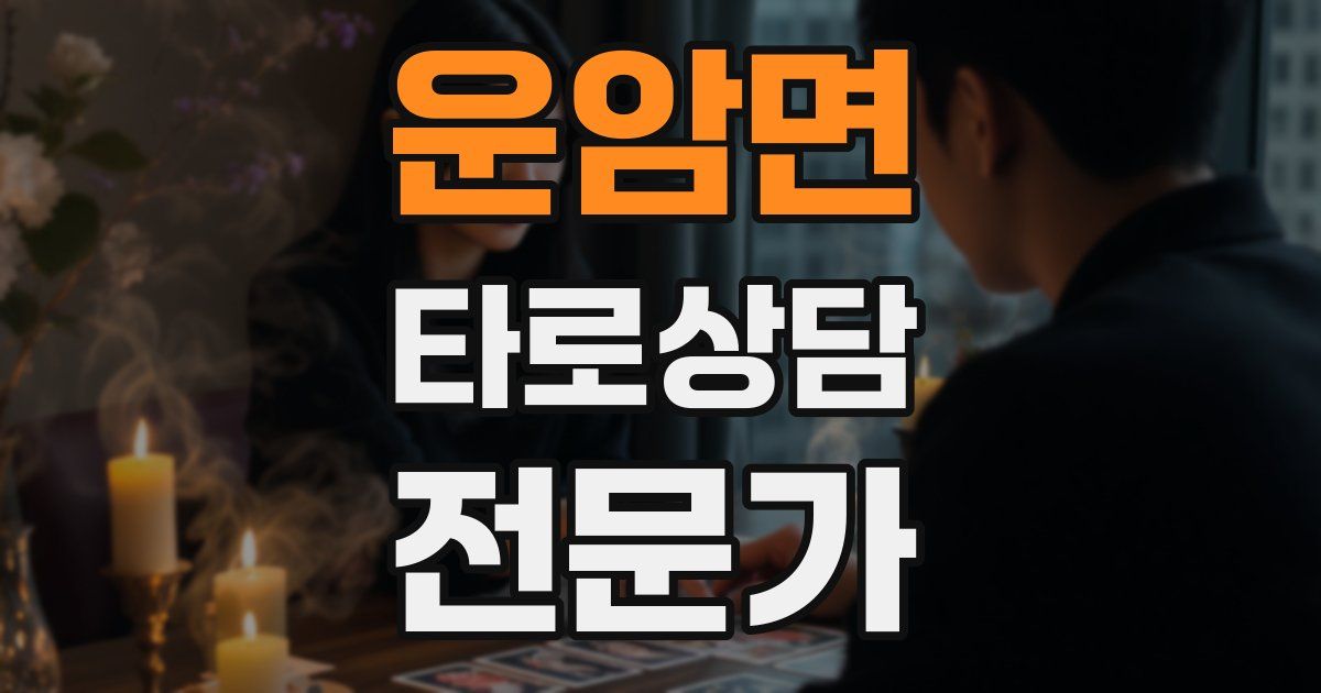 운암면 타로상담전문가 자격증