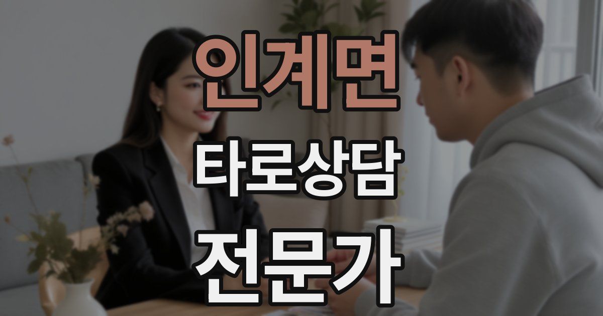 인계면 타로상담전문가 자격증