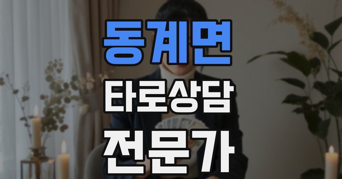 동계면 타로상담전문가 자격증