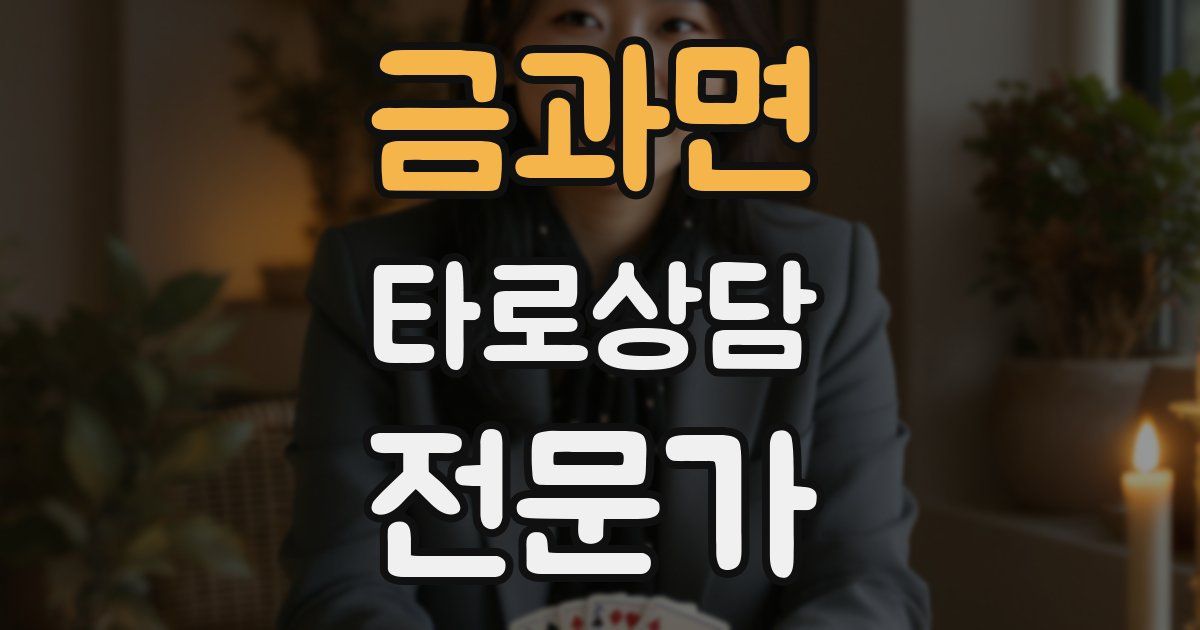 금과면 타로상담전문가 자격증