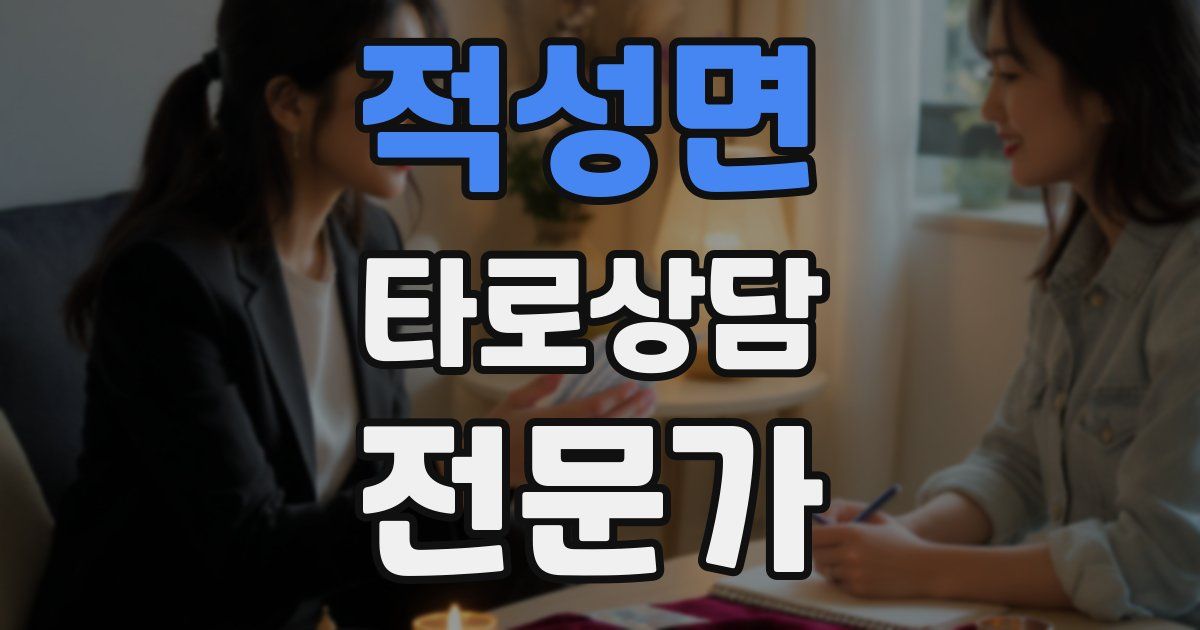 적성면 타로상담전문가 자격증