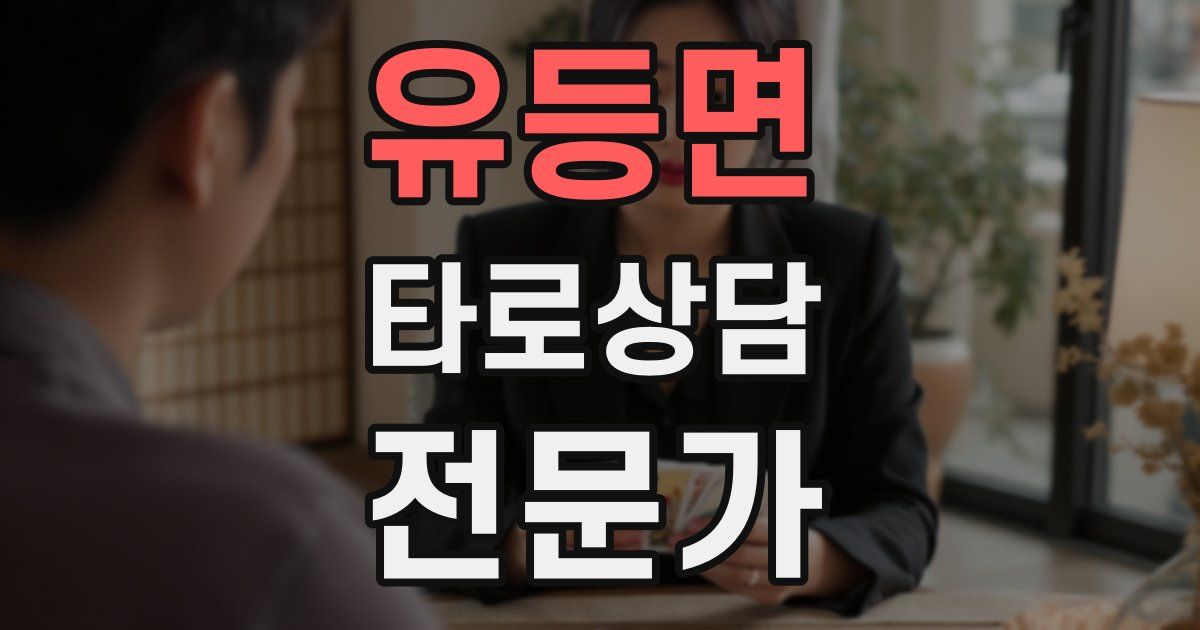 유등면 타로상담전문가 자격증