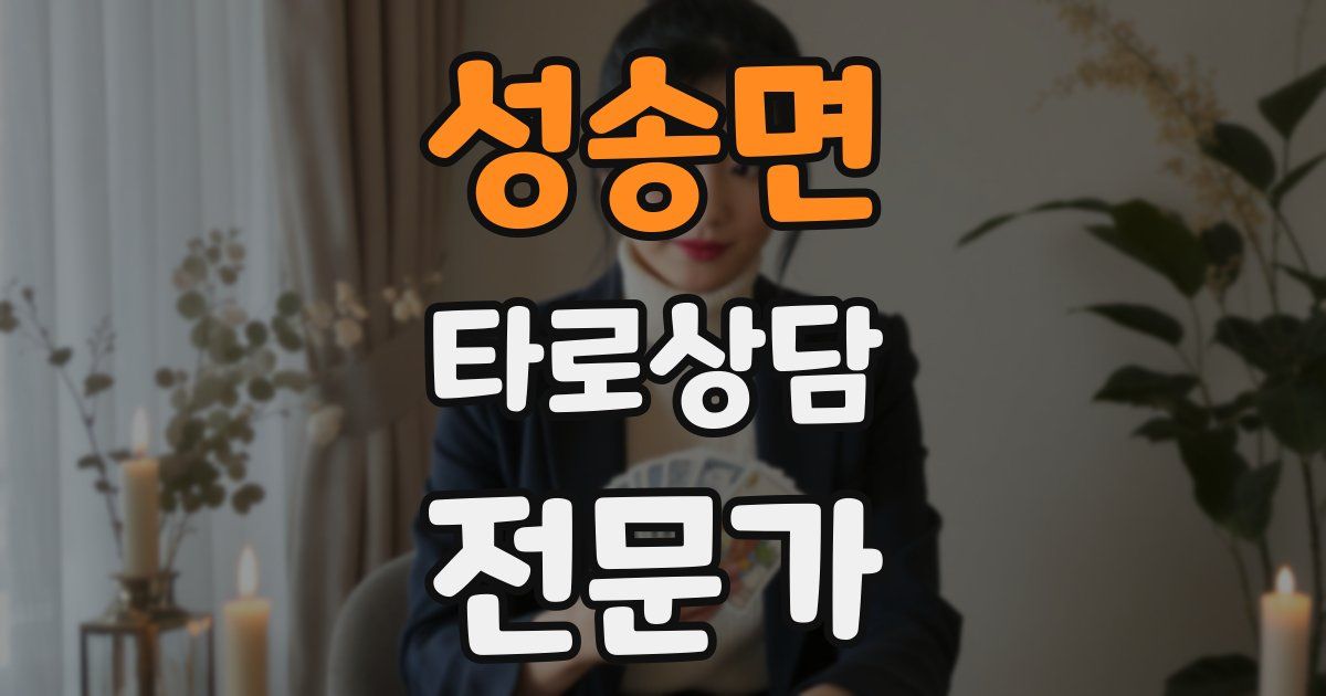 성송면 타로상담전문가 자격증