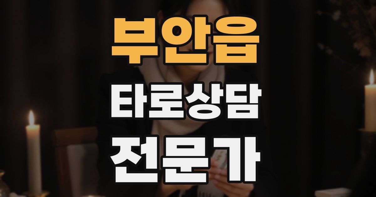 부안읍 타로상담전문가 자격증