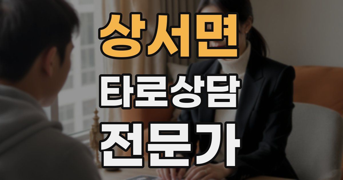 상서면 타로상담전문가 자격증