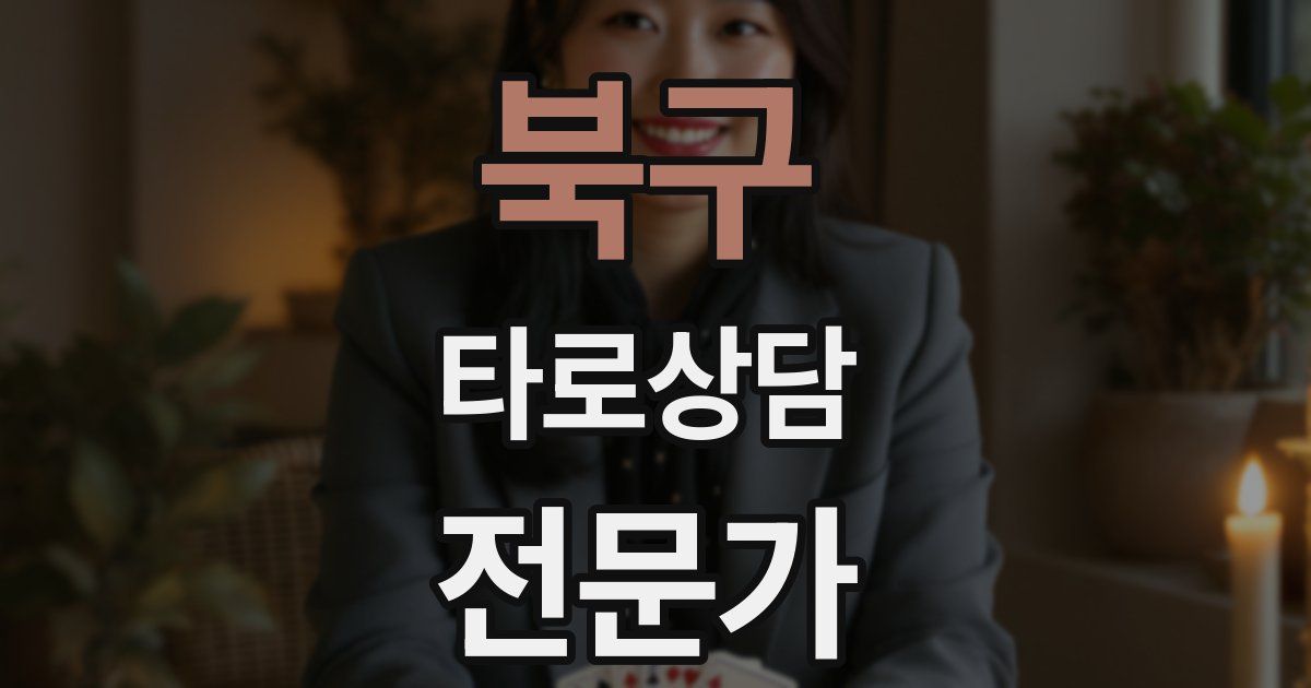 북구 타로상담전문가 자격증