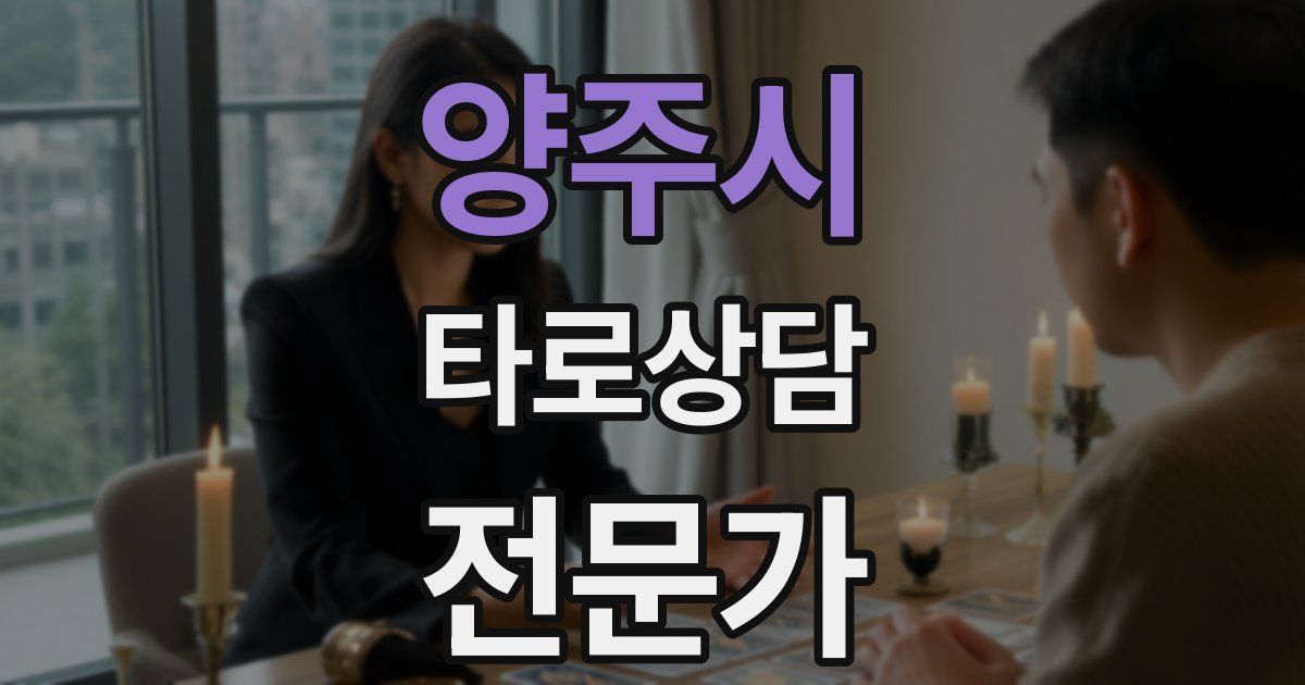 양주시 타로상담전문가 자격증