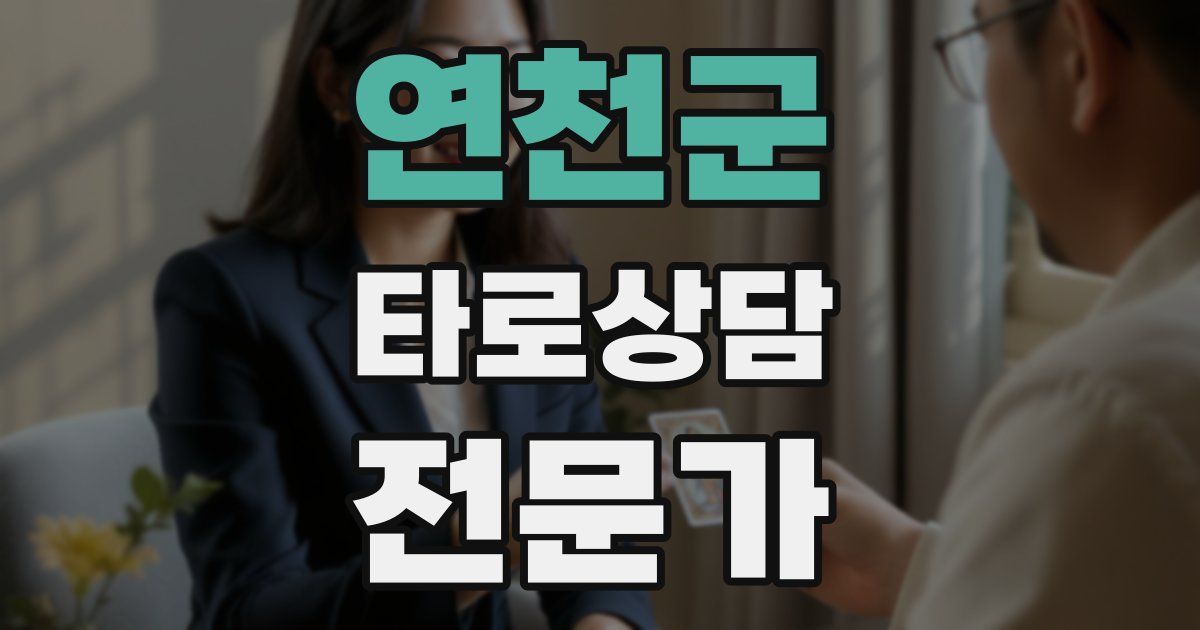 연천군 타로상담전문가 자격증