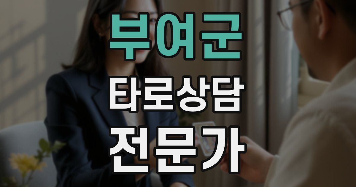 부여군 타로상담전문가 자격증