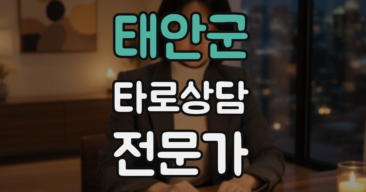 태안군 타로상담전문가 자격증