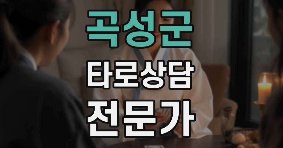 곡성군 타로상담전문가 자격증