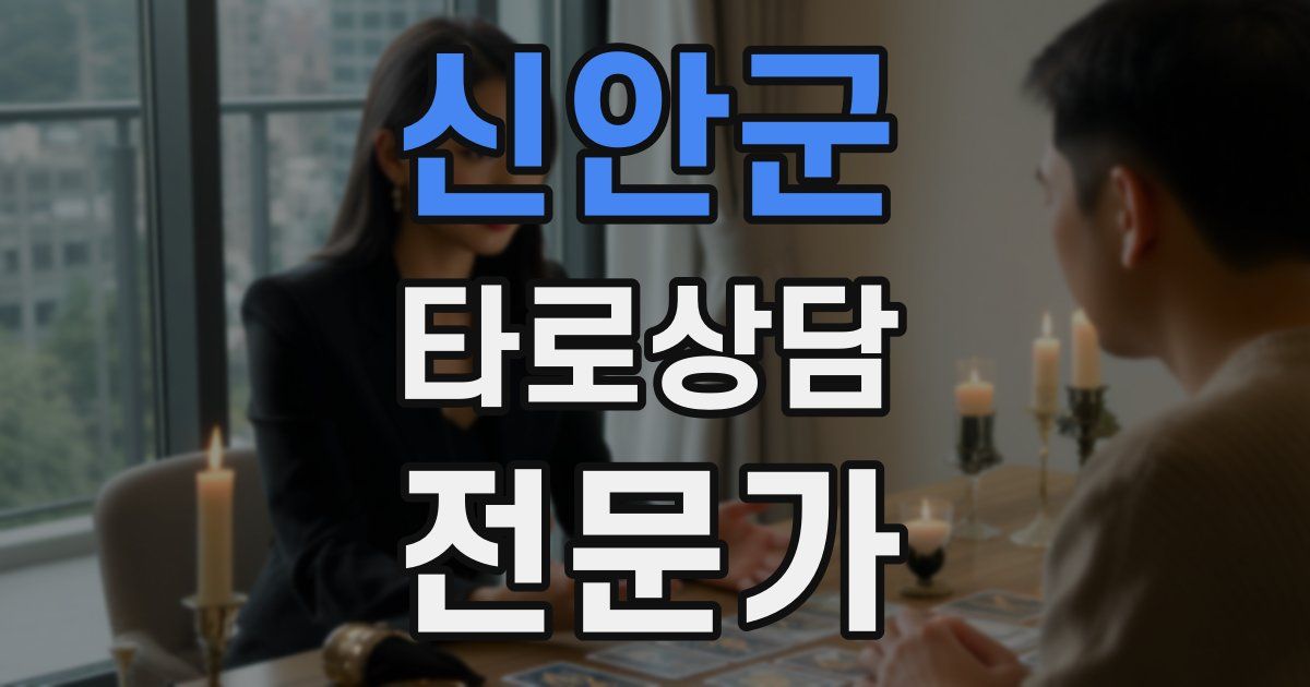 신안군 타로상담전문가 자격증