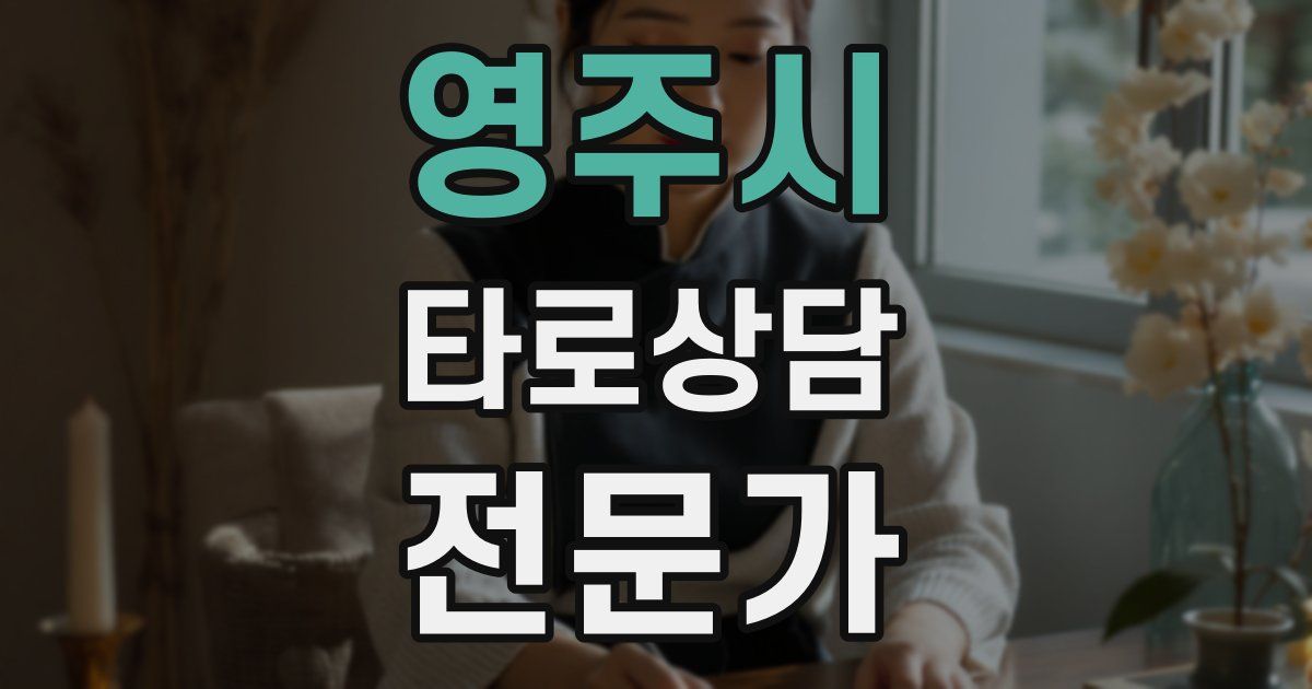 영주시 타로상담전문가 자격증