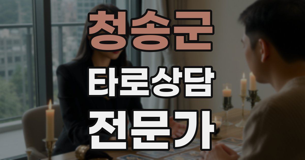 청송군 타로상담전문가 자격증