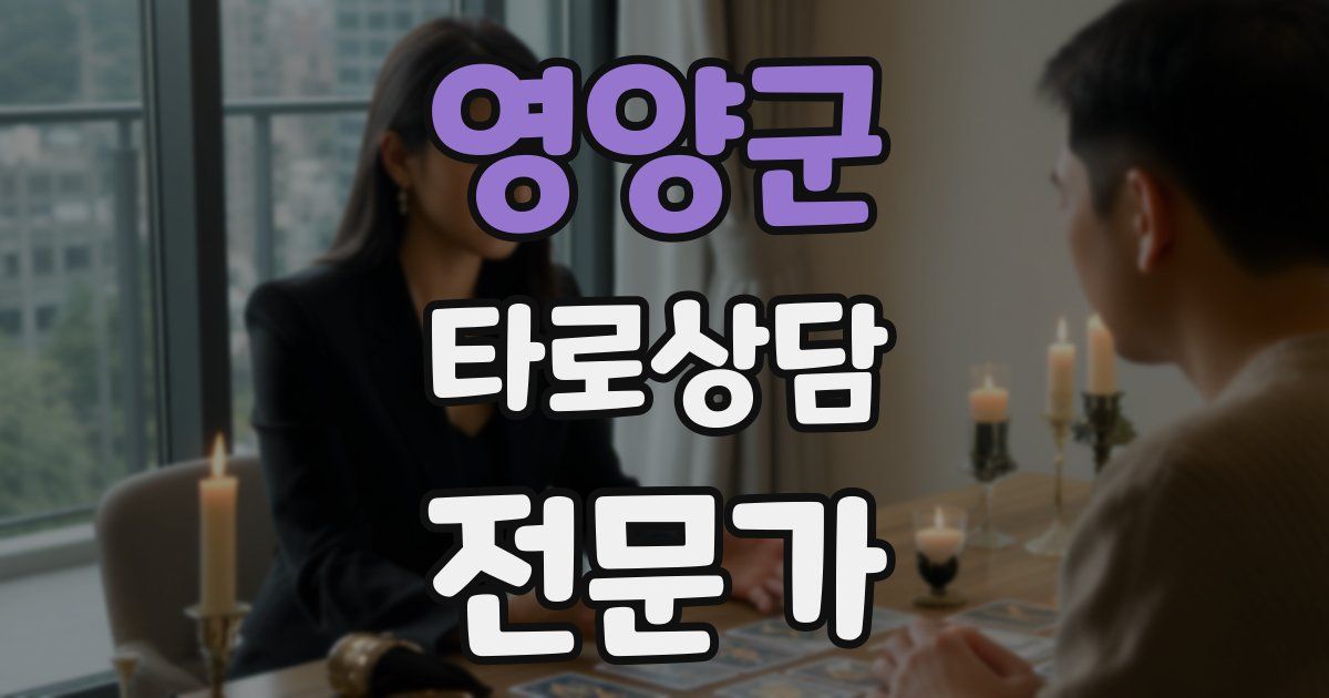 영양군 타로상담전문가 자격증