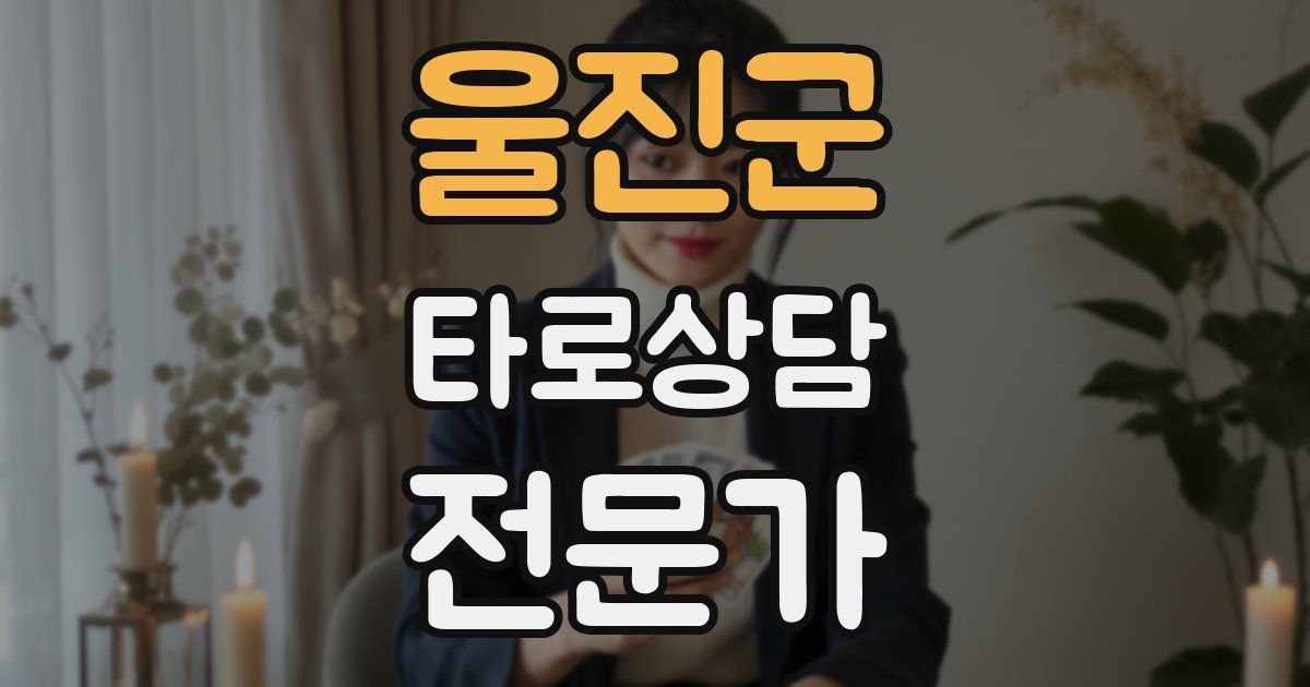 울진군 타로상담전문가 자격증