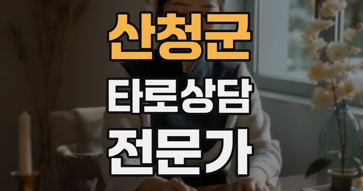 산청군 타로상담전문가 자격증