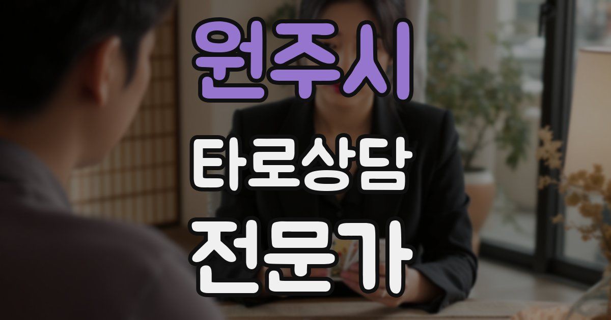 원주시 타로상담전문가 자격증