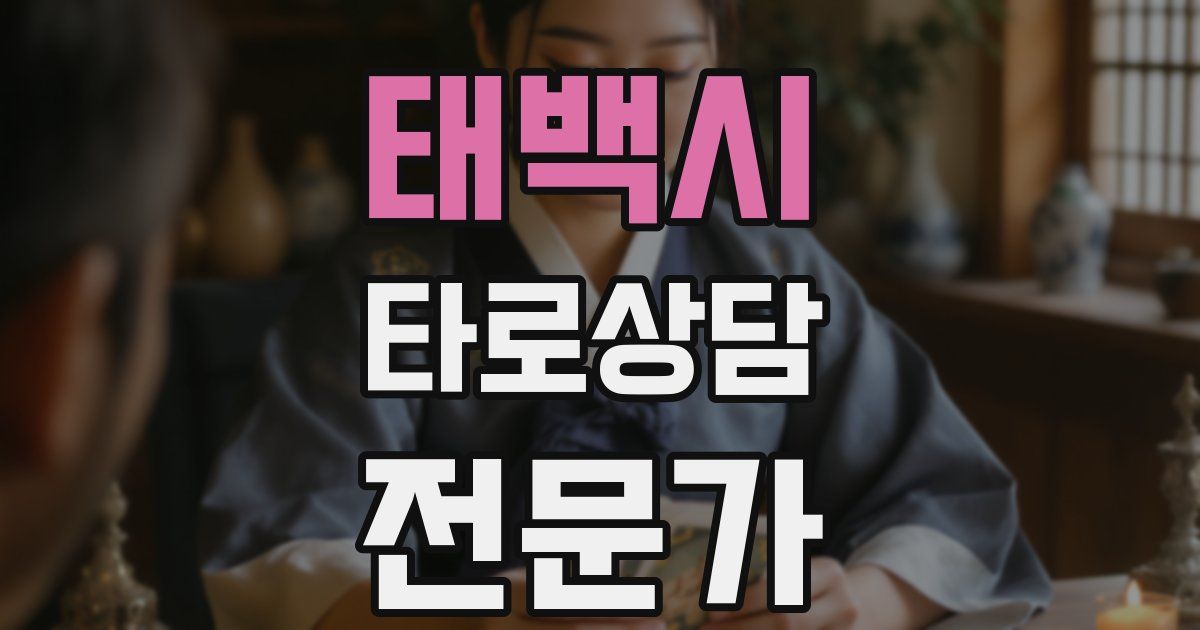 태백시 타로상담전문가 자격증