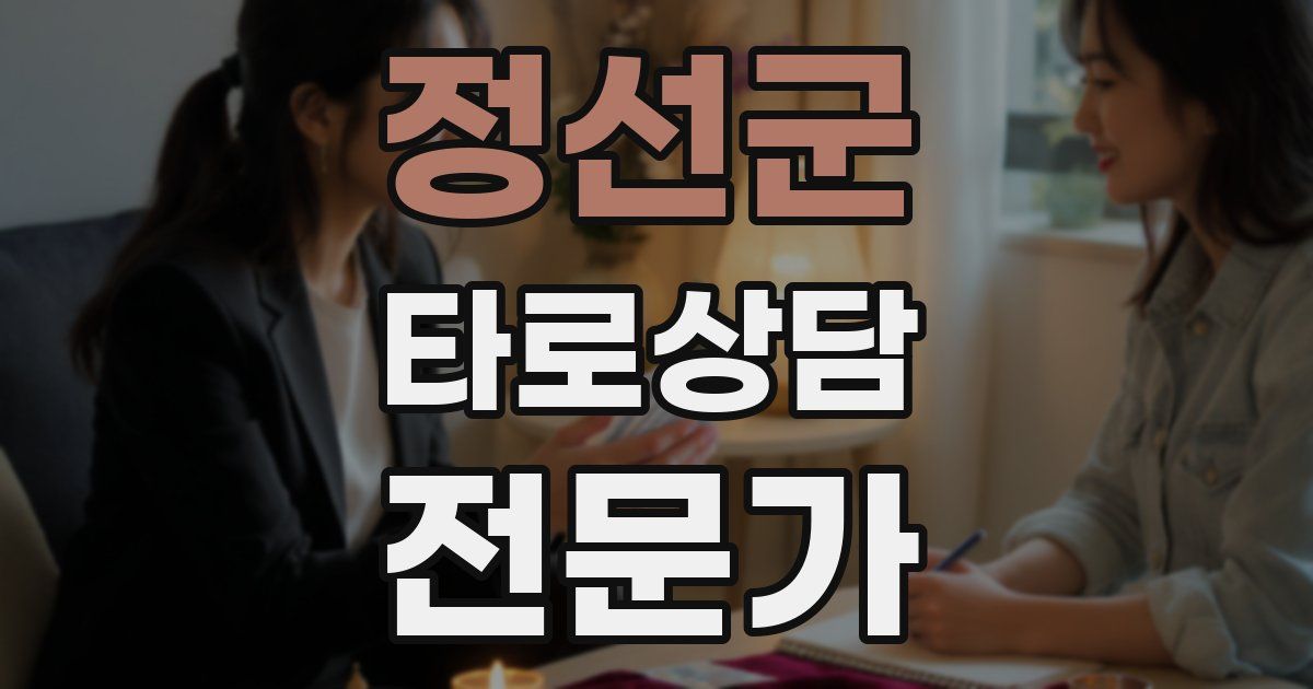 정선군 타로상담전문가 자격증